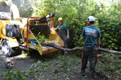 tree services Piñon Hills